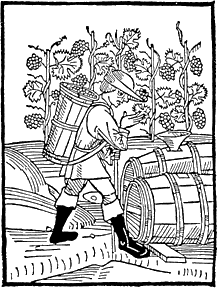 Medieval Woodcut