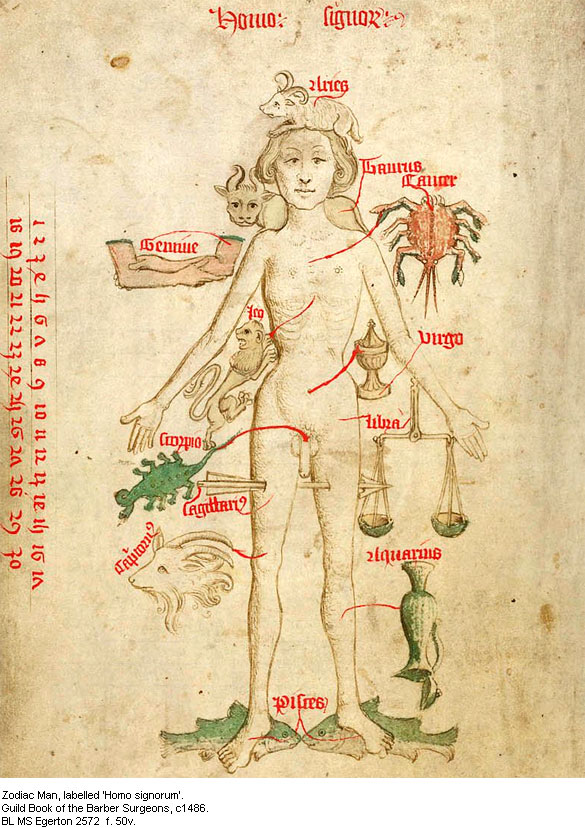 Zodiac Man Chart