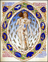 Manuscript Illumination