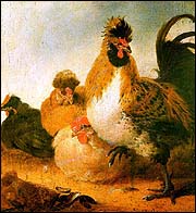 Aelbert Cuyp (1620-1691). Rooster & Hens.
