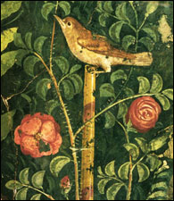 Nightingale amid roses, from a 60 A.D. garden mural at House of the Golden Cupids, Pompeii