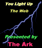You Light Up the Web Award