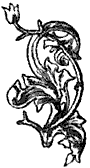 Printer's Ornament