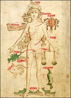 Zodiac Man, c1486