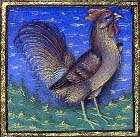 Cock.  From the BNF