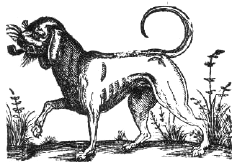 woodcut of hound