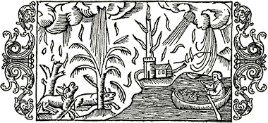 Renaissance woodcut of lightning