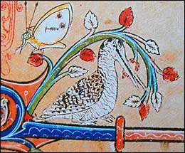 Woodcock. Medieval manuscript illumination